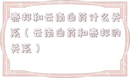 泰邦和云南白药什么关系（云南白药和泰邦的关系）