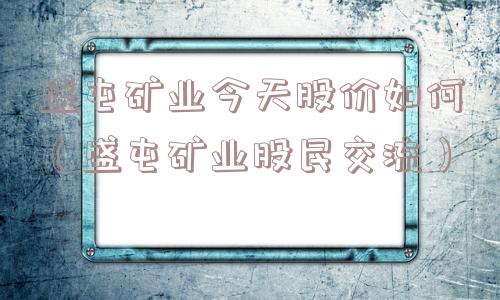 盛屯矿业今天股价如何（盛屯矿业股民交流）