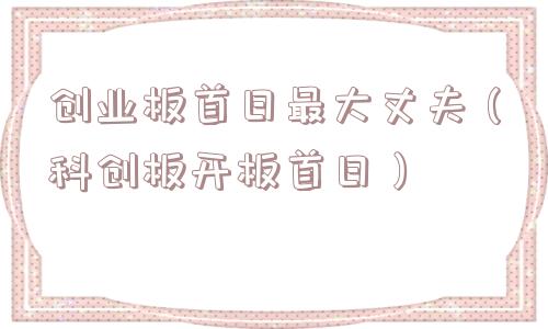 创业板首日最大丈夫（科创板开板首日）