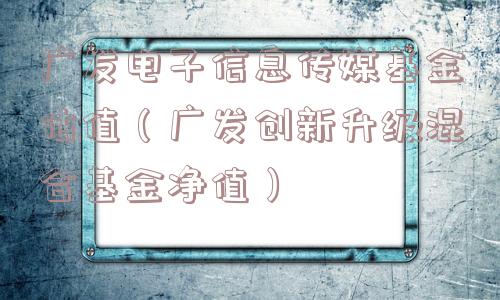 广发电子信息传媒基金估值（广发创新升级混合基金净值）